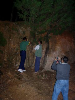 Thamil & PC attacking the fir tree